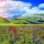Calendar cu imagini Landscapes, 31.5 x 48 cm, 12 file, 2026